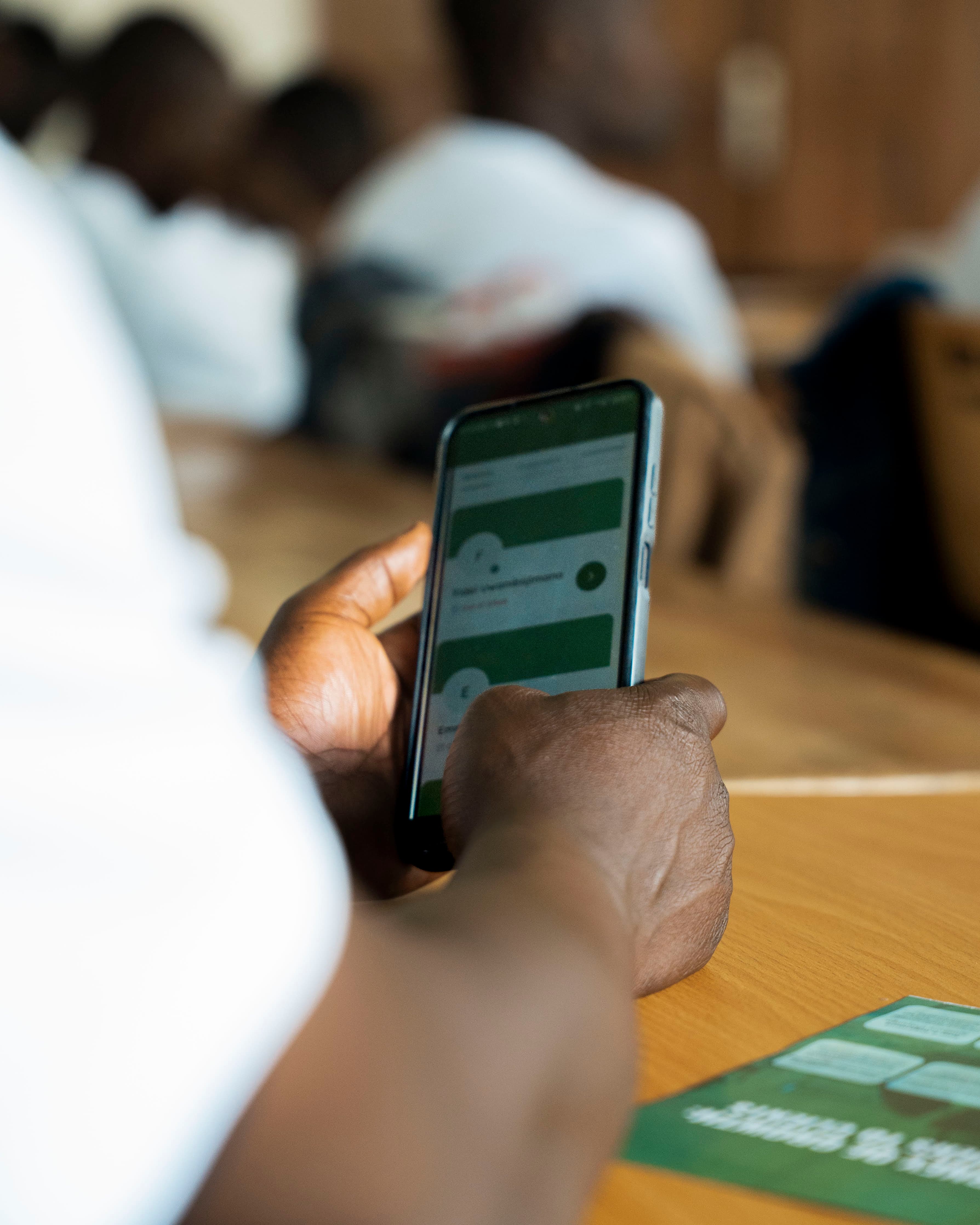 Murika farm activity